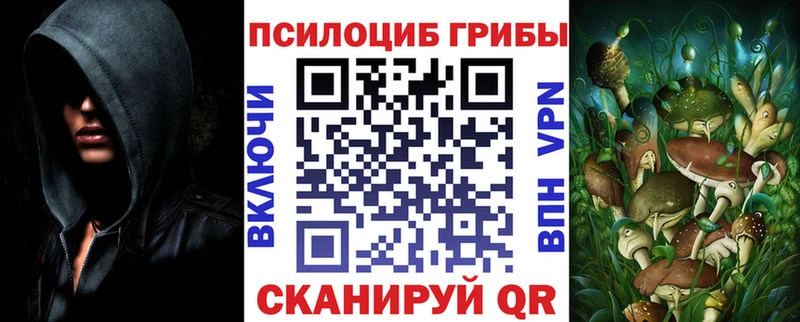 Купить где  Усть-Лабинск  Псилоцибиновые грибы Cubensis 
